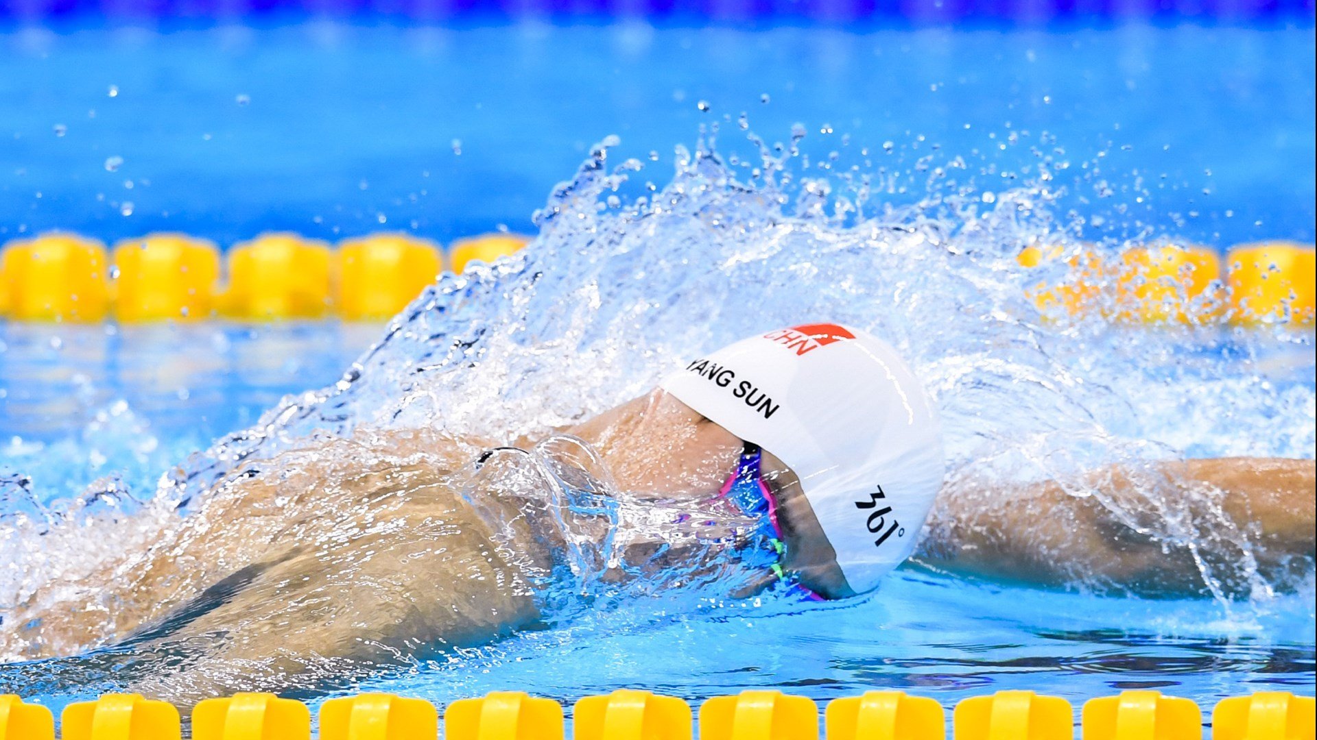 运动表现提升与基因检测应用研究，运动基因检测需多少钱